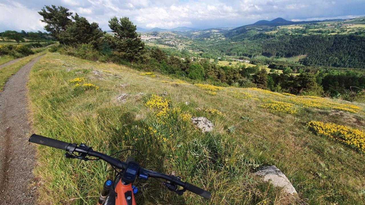 Les Gites Estaou Treillo Le Monastier sur Gazeille 외부 사진